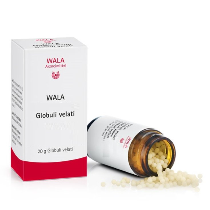 Hirudo Compositum&nbsp;Wala Globuli 20g