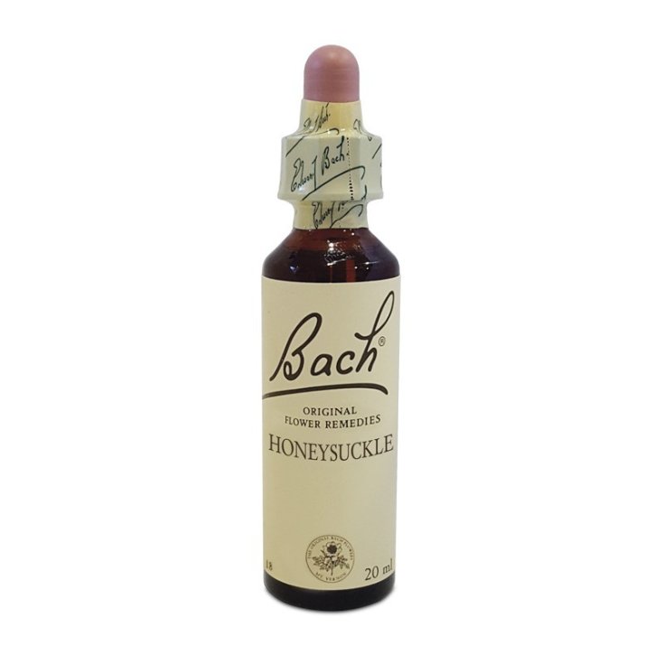Honeysuckle&nbsp;Flower Remedies Bach Center 20ml