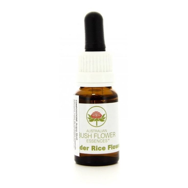 Slender Rice Flower&nbsp;Essenza Singola Australian Bush Flower Essences 15ml