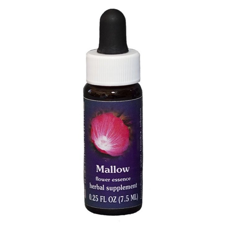 Mallow&nbsp;Essenza Singola Californiana Flower Essence Society 7,4ml