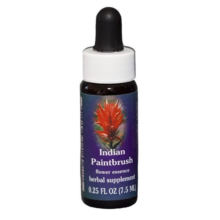 Indian Paintbrush Essenza Singola Californiana Flower Essence Society 7,4ml