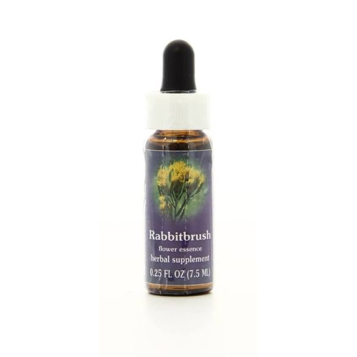 Rabbitbrush&nbsp;Essenza Singola Californiana Flower Essence Society 7,4ml