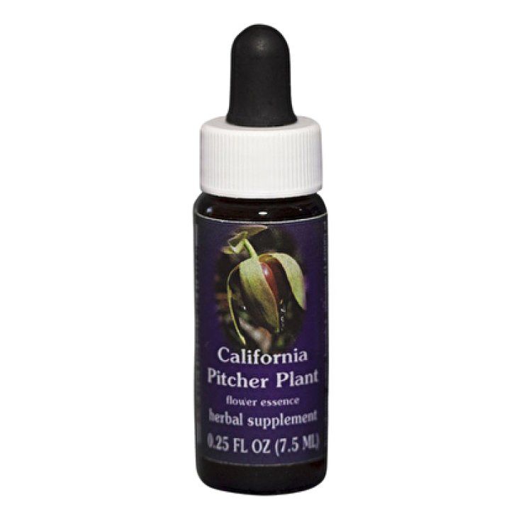 California Pitcher Plant Essenza Singola Californiana Flower Essence Society 7,4ml