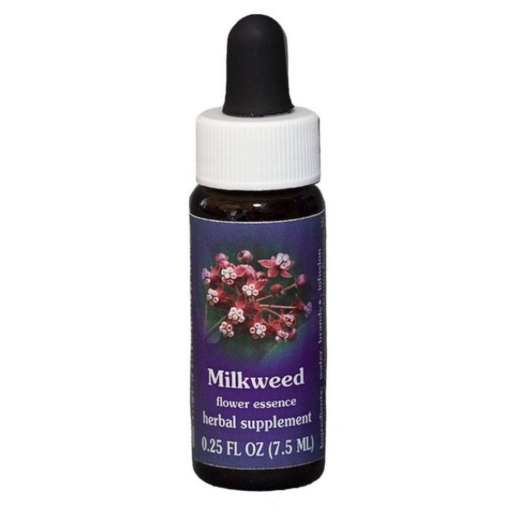 Milkweed&nbsp;Essenza Singola Californiana Flower Essence Society 7,4ml