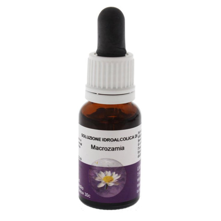Macrozamia Essenza Singola Australian Living Essences 15ml