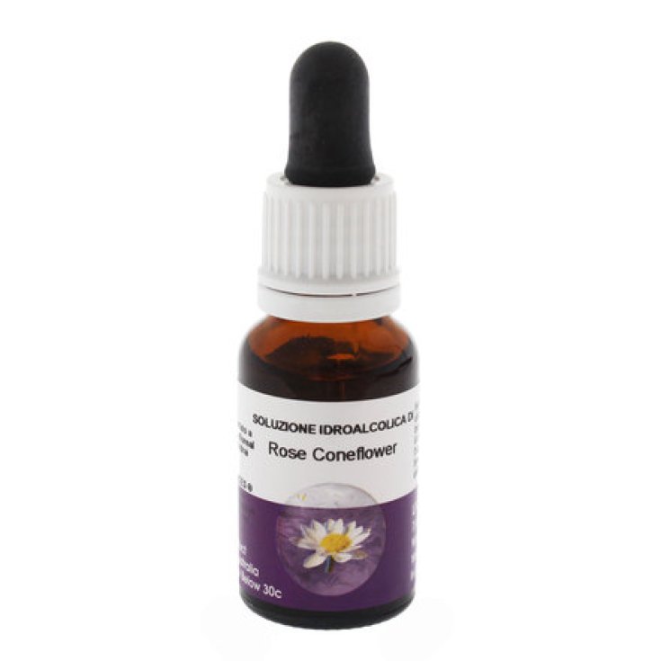 Rose Coneflower&nbsp;Essenza Singola&nbsp;Australian Living Essences 15ml