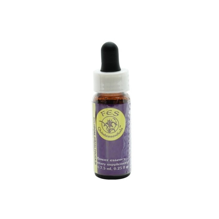 Dune Primrose Essenza Singola Californiana Flower Essence Society 7,4ml