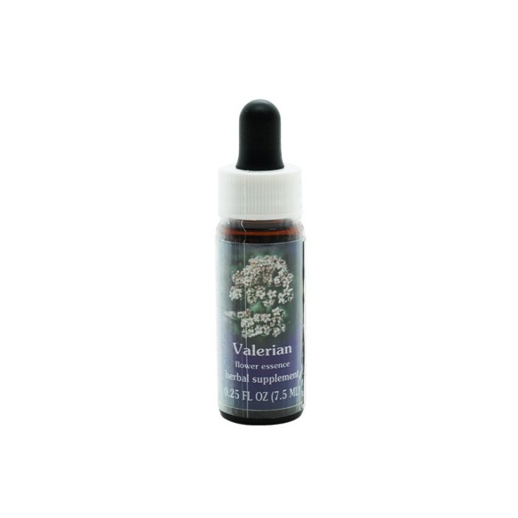 Valerian Essenza Singola Californiana Flower Essence Society 7,4ml