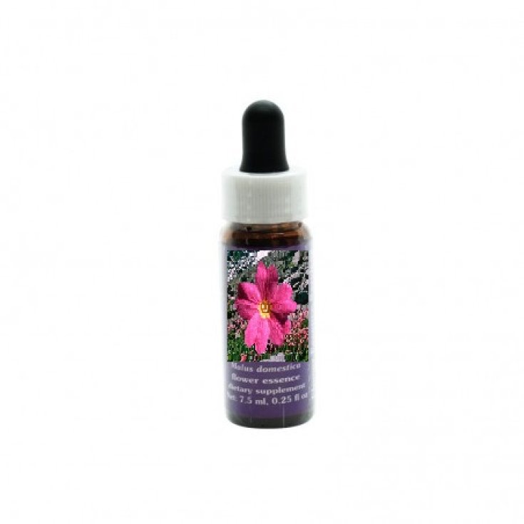 Sierra Primrose Essenza Singola Californiana&nbsp;Flower Essence Society 7,4ml