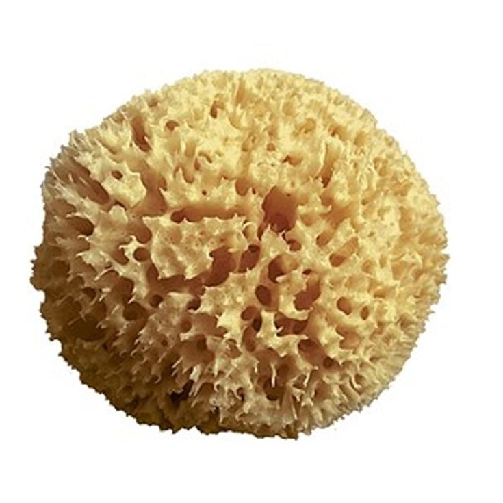 Pura Spugna Naturale Arcipelago 10cm