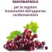 Resveratrolo Plus Colours Of Life&reg; Optima Naturals 60 Compresse