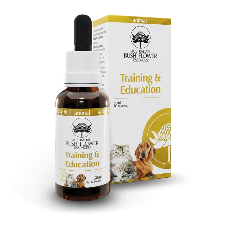 Training & Education - 30ML