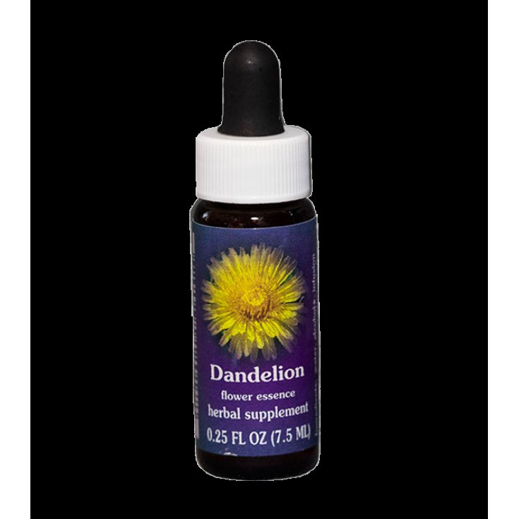Dandelion Essenza Singola Californiana Flower Essence Society 7,4ml