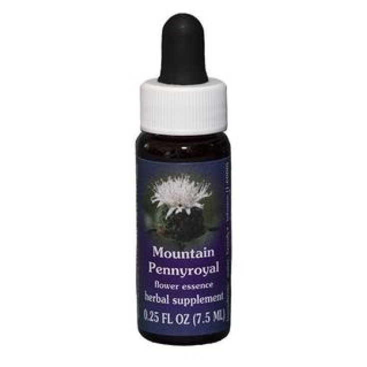 Mountain Pennyroyal Essenza Singola&nbsp;Californiana&nbsp;Flower Essence Society 7,4ml