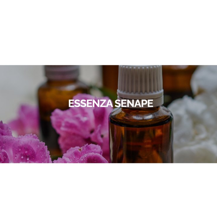 Senape Essenza Esperis 100g