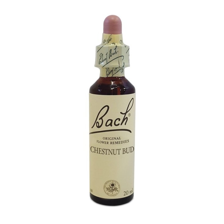 Chestnut Bud Essenza Singola Bach Center 20ml