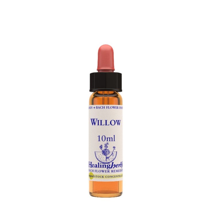 Willow Bach Flower Remedy Healing Herbs 10ml