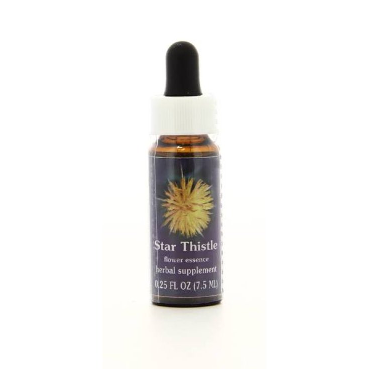 Star Thistle&nbsp;Essenza Singola&nbsp;Californiana&nbsp;Flower Essence Society 7,4ml