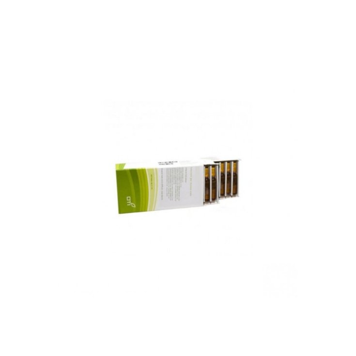 Gamma Procainum OTI 20 Fiale Orali