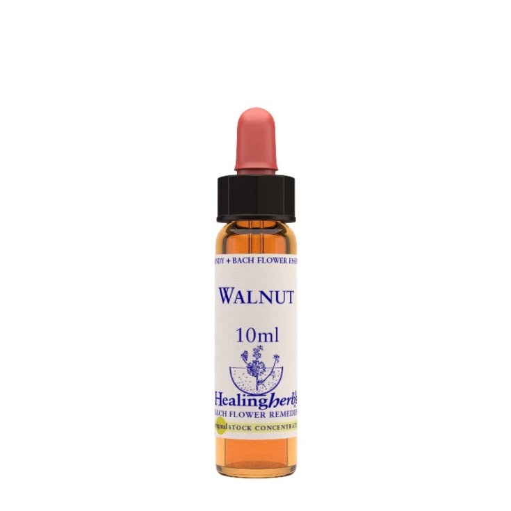 Walnut Bach Flower Remedy Healing Herbs 10ml