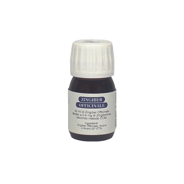 Zingiber Officinale Efit&reg; 30ml
