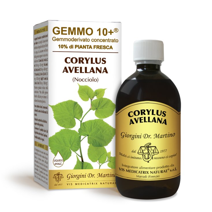 Nocciolo G10+ Corylus Avellana Dr. Giorgini 500ml