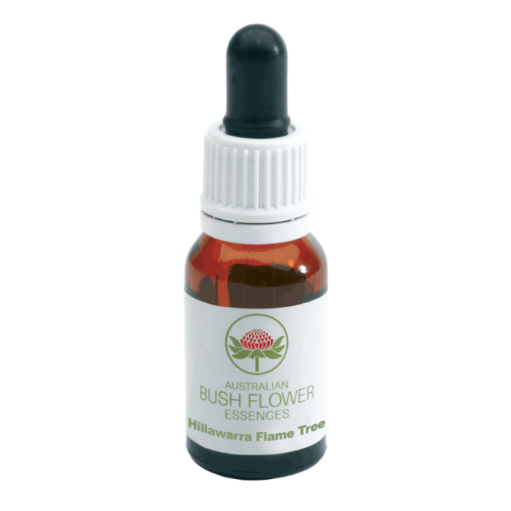 Hillawarra Flame Tree&nbsp;Australian Bush Flower Essences 15ml