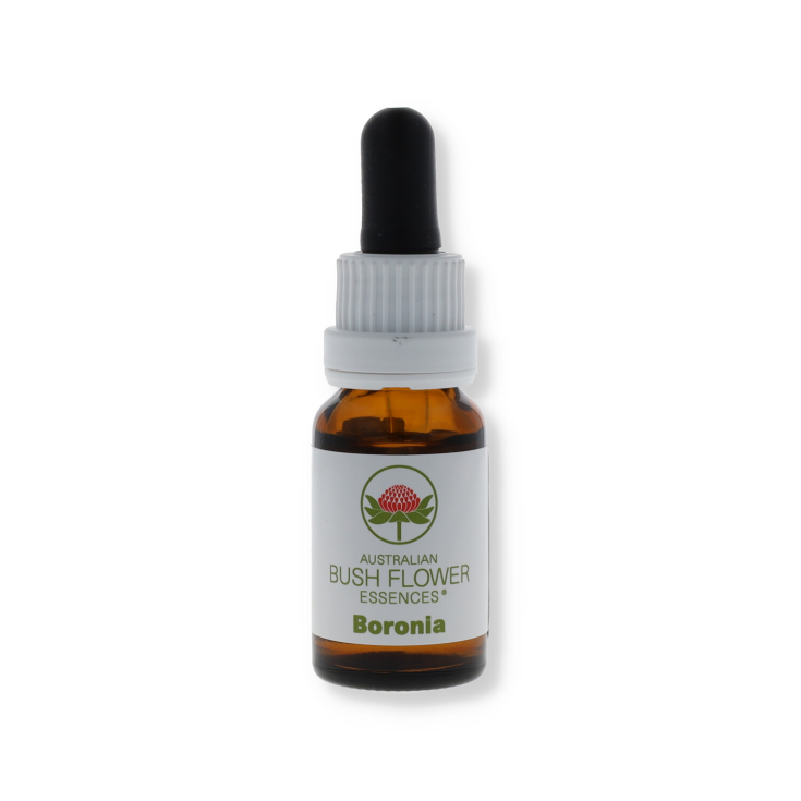 Boronia Essenza Singola Australi Bush Flower Essences 15ml