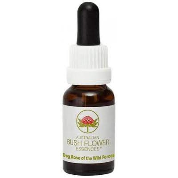 Dog Rose Of Wild Forces&nbsp;Essenza Singola&nbsp;Australian Bush Flower Essences 15ml