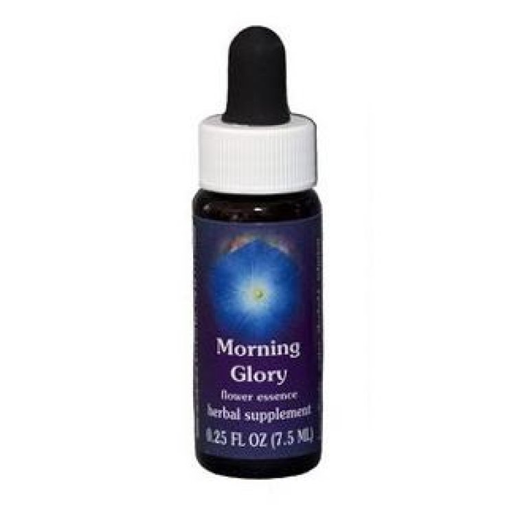 Morning Glory&nbsp;Essenza Singola Californiana Flower Essence Society 7,4ml