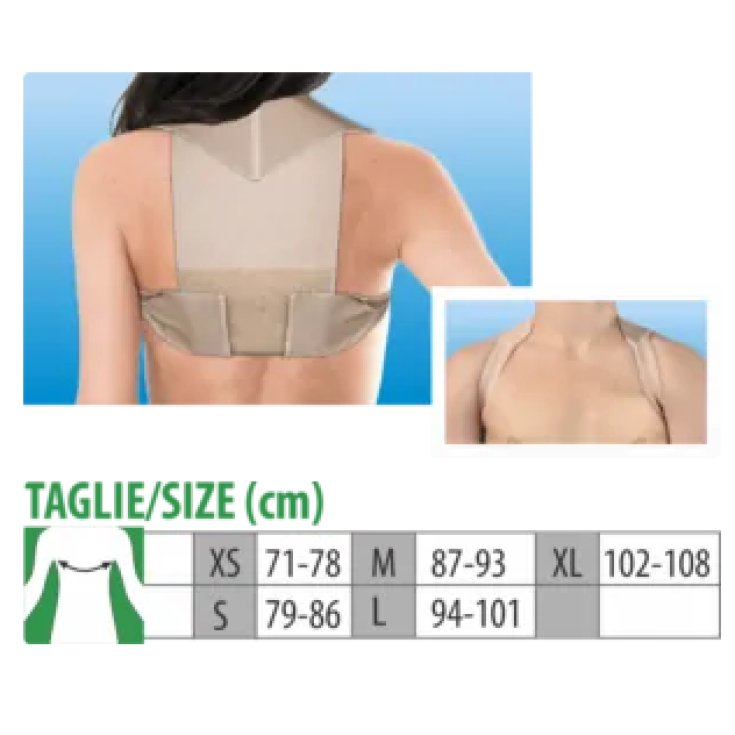 Raddrizzaspalle Tg.S&nbsp;Clia Ortho