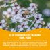 Puro Olio Essenziale Di Manuka 100% Manuka Benefit&reg; Optima Naturals 5ml
