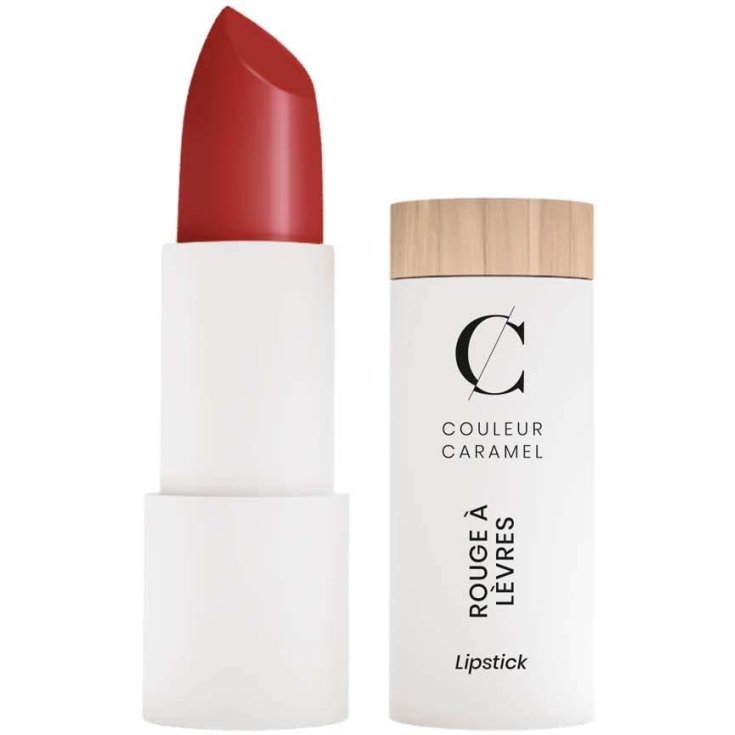 Rouge &Agrave; L&egrave;vres Mate 120 Rouge Sombre Couleur Caramel 3.5g