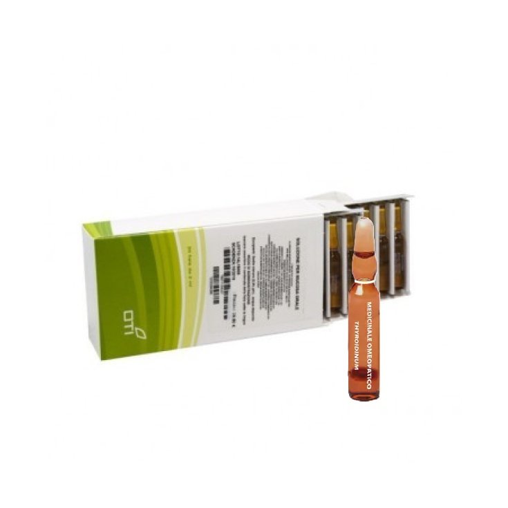 Thyroidinum 6ch OTI 20 Fiale Fisiologiche