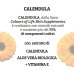 Calendula Colours Of Life&reg; Optima Naturals 100ml