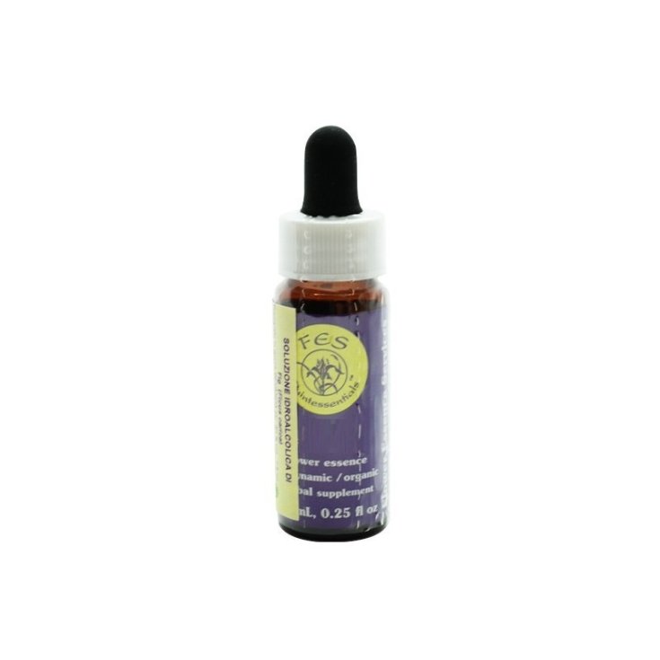 Redwood Essenza Singola Californiana&nbsp;Flower Essence Society 7,4ml