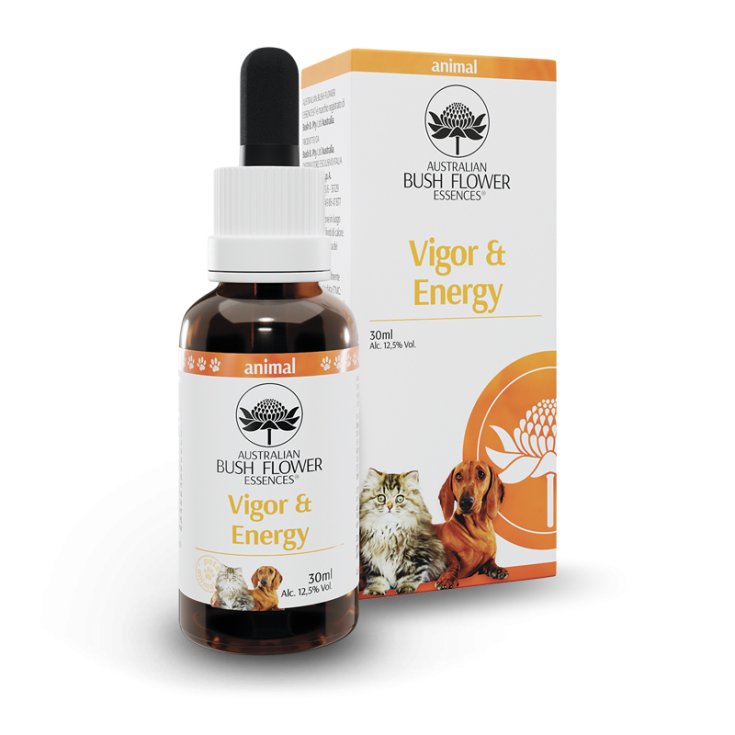 Vigor & Energy - 30ML