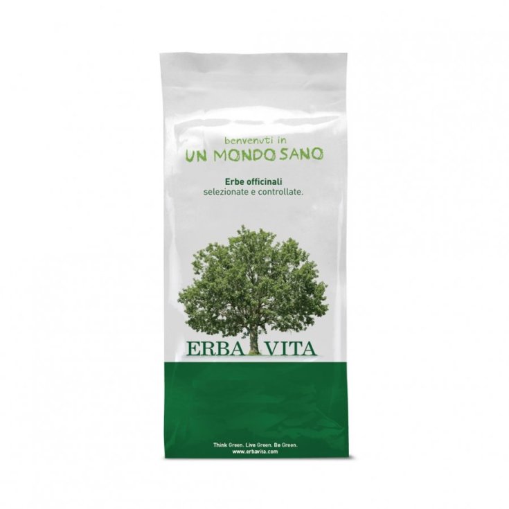 Anice Stellato Tisane Erba Vita 100g