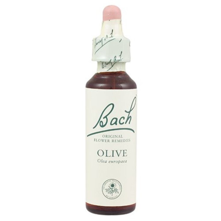 Olive Fiori Di Bach&reg; Original 20ml