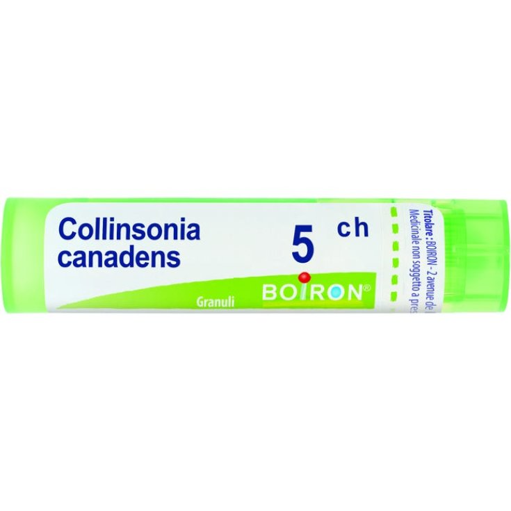 Collinsonia Canadensis 5CH Boiron Granuli 4g