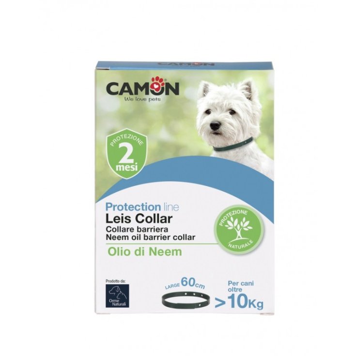 Protection Leis Cane - 60CM