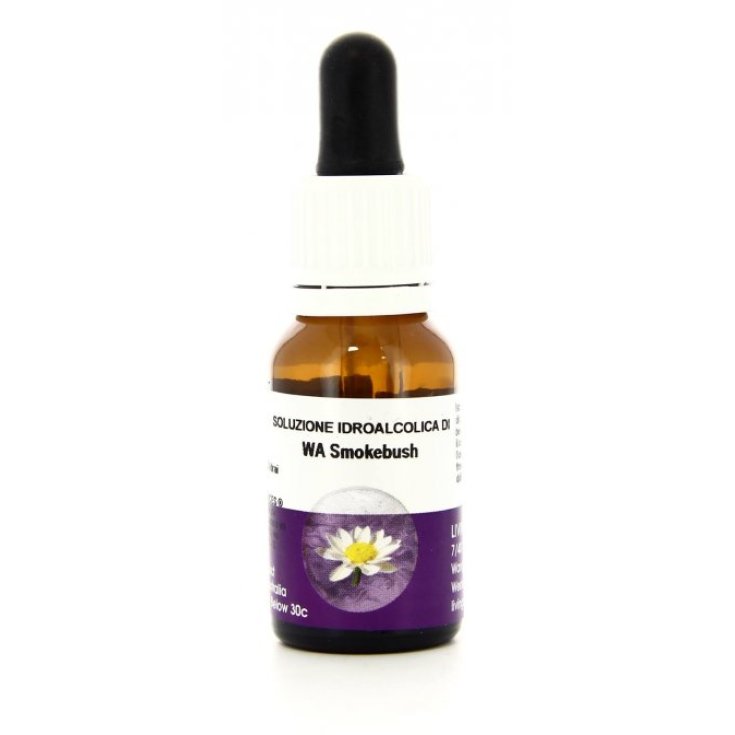 WA&nbsp;Smokebush Essenza Singola Australian Living 15ml