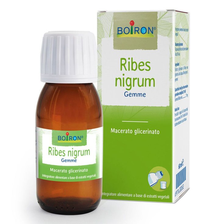 Ribes Nigrum Gemme Boiron 60ml