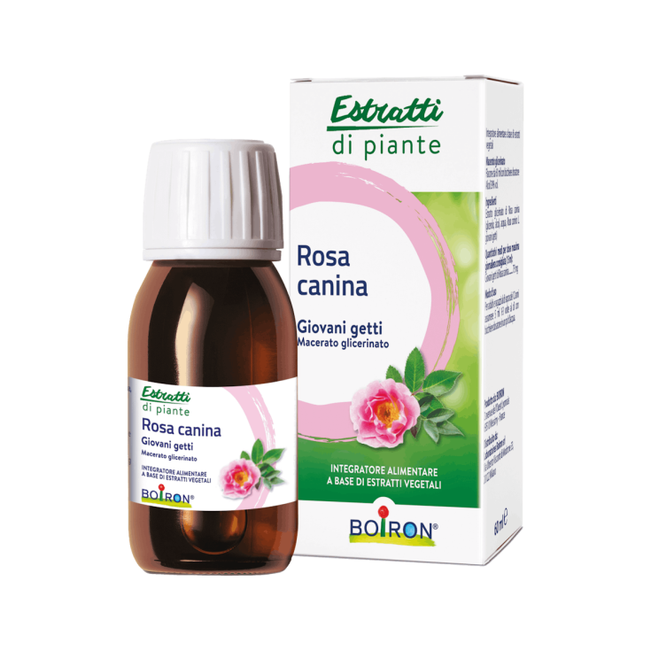 Rosa Canina Giovani Getti MG Boiron 60ml Rosa Canina Giovani Getti MG Boiron 60ml