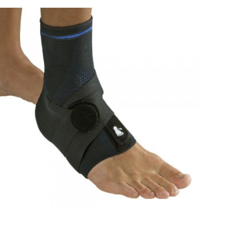 Dr.Gibaud Ortho Cavigliera Legamenti Nero 5