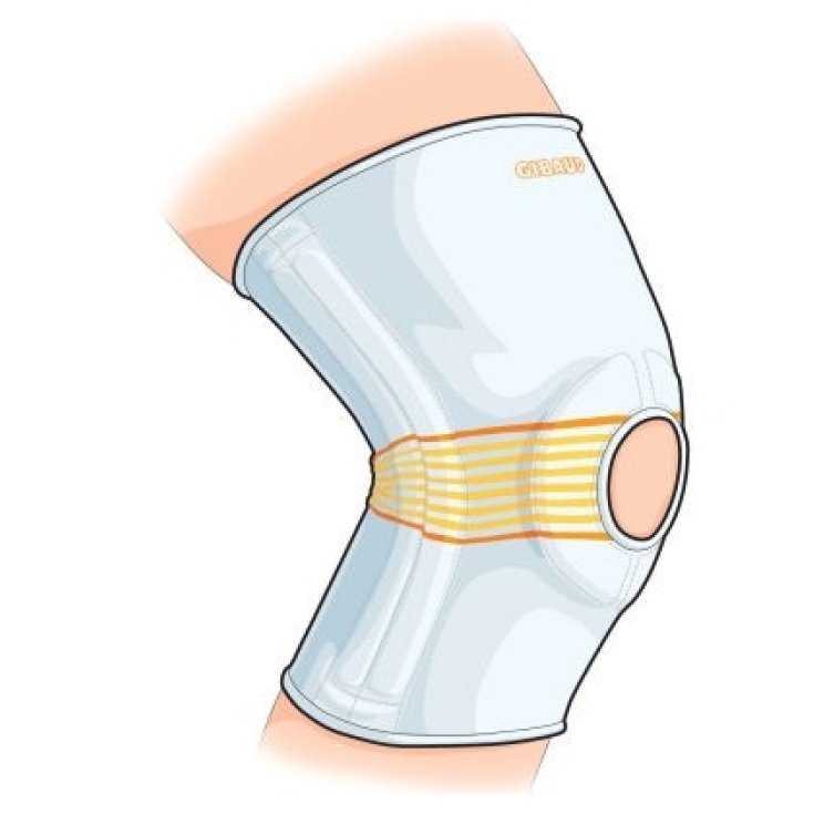 Dr.Gibaud Ortho Ginocchiera Legamenti 1