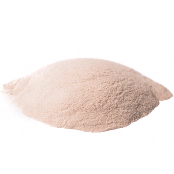 Agar Agar Polvere E 406 Farmalabo 100g