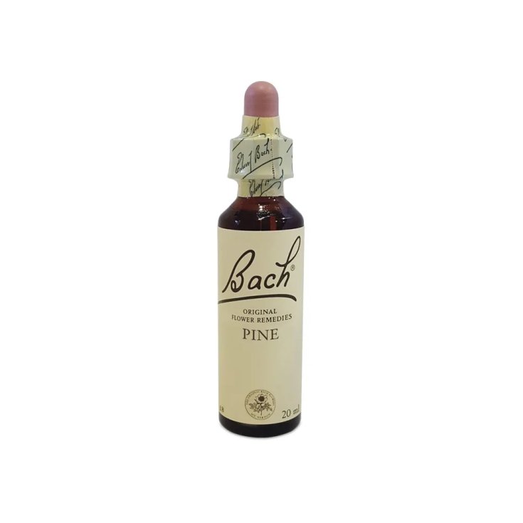 Pine Fior Di Bach Center 20ml