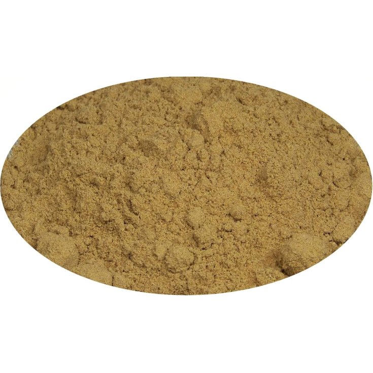 Anice Tisana Composta Farmalabor 100g