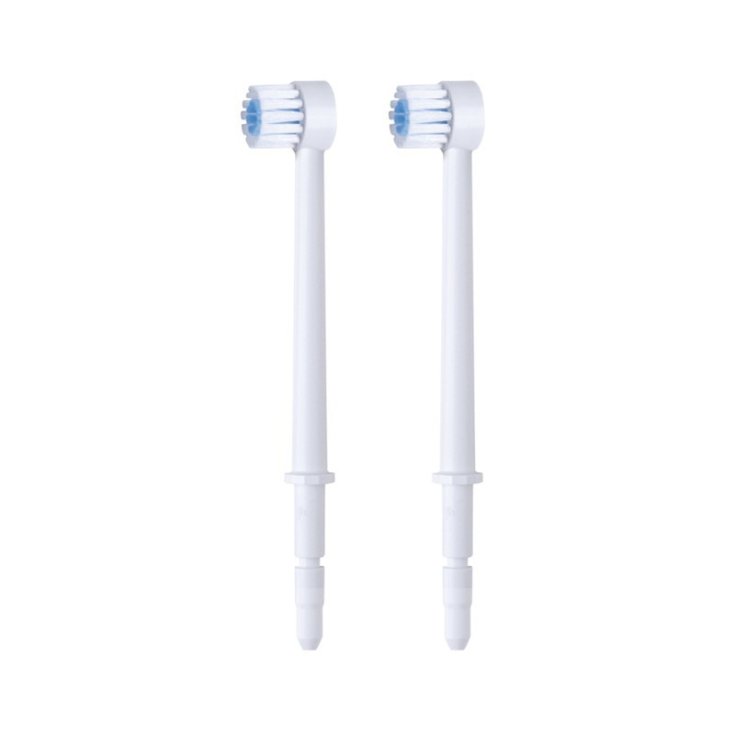 Ricambio Spazzole Per Irrigatore Wp100 - 450 Waterpik&reg;